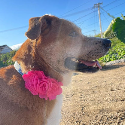 6 PCS Dog Collar Flowers, Multi-Color Pet Bow Ties Flower, Sliding Pet Collar Grooming Accessories for Puppy Small Medium Large Dogs Kitten Cats Rabbits