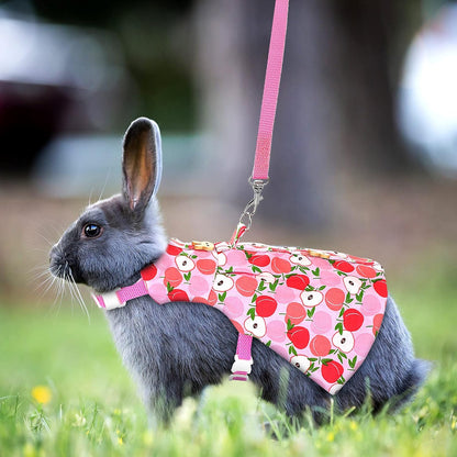 3 Sets Rabbit Bunny Harness and Leash, Cute Easter Bunny Clothes for Rabbits Dress Costume Walking Harness Escape Proof Pet Supply for Hedgehog Ferret Squirrel(Peach, Pineapple, Strawberry)