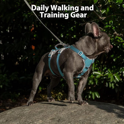 Huntboo Escape Proof Dog Harness, Escape Artist Harness, Fully Reflective Harness with Padded Handle, Breathable,Durable, Adjustable Vest for Medium Dogs Walking, Training, and Running Gear (Teal,XS)