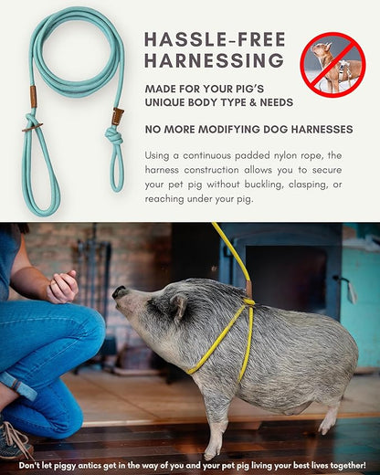 Mini Pig Harness & Leash (S/M) - Fully Adjustable, Infinity Style Lead, Step-in Harness, Potbelly Supplies, All-in-One - Ideal for Small & Medium Pet Pigs (Small, Mauve Pink)