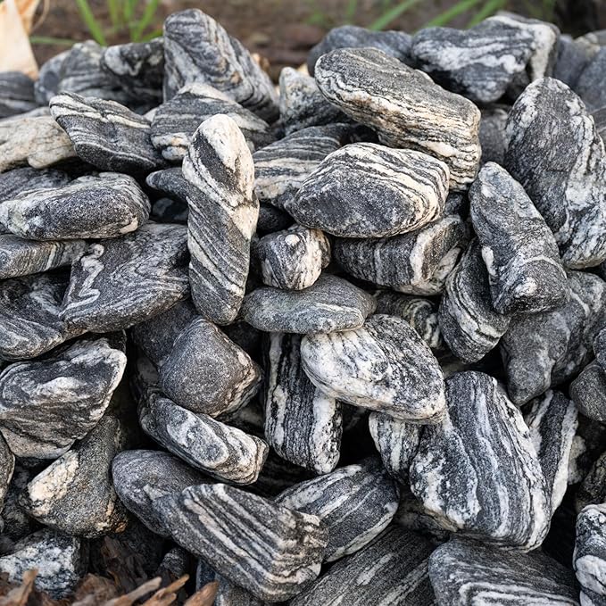 Natural Fish Tank Stones Aquarium Rocks 10lb Silver Seiryu Rock for Aquascaping, Terrariums, Bonsai, Garden Landscaping & Reptile Habitats(2-7inch 5-6Pcs)