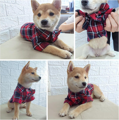 Plaid Dog Shirt,Soft Casual Pet Shirt Clothes, Dog Cotton Shirt with Bow Tie for Wedding,Christmas Costumes (Red&Blue, X-Small)