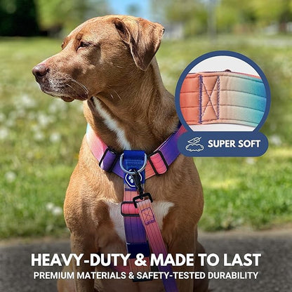 Spark Paws No Pull Dog Harness for Large Dogs, Heavy Duty Dog Harness for Big Strong Breeds, Adjustable, Y Shaped Padded Halter Design with Front Clip - Kaleidoscope- L