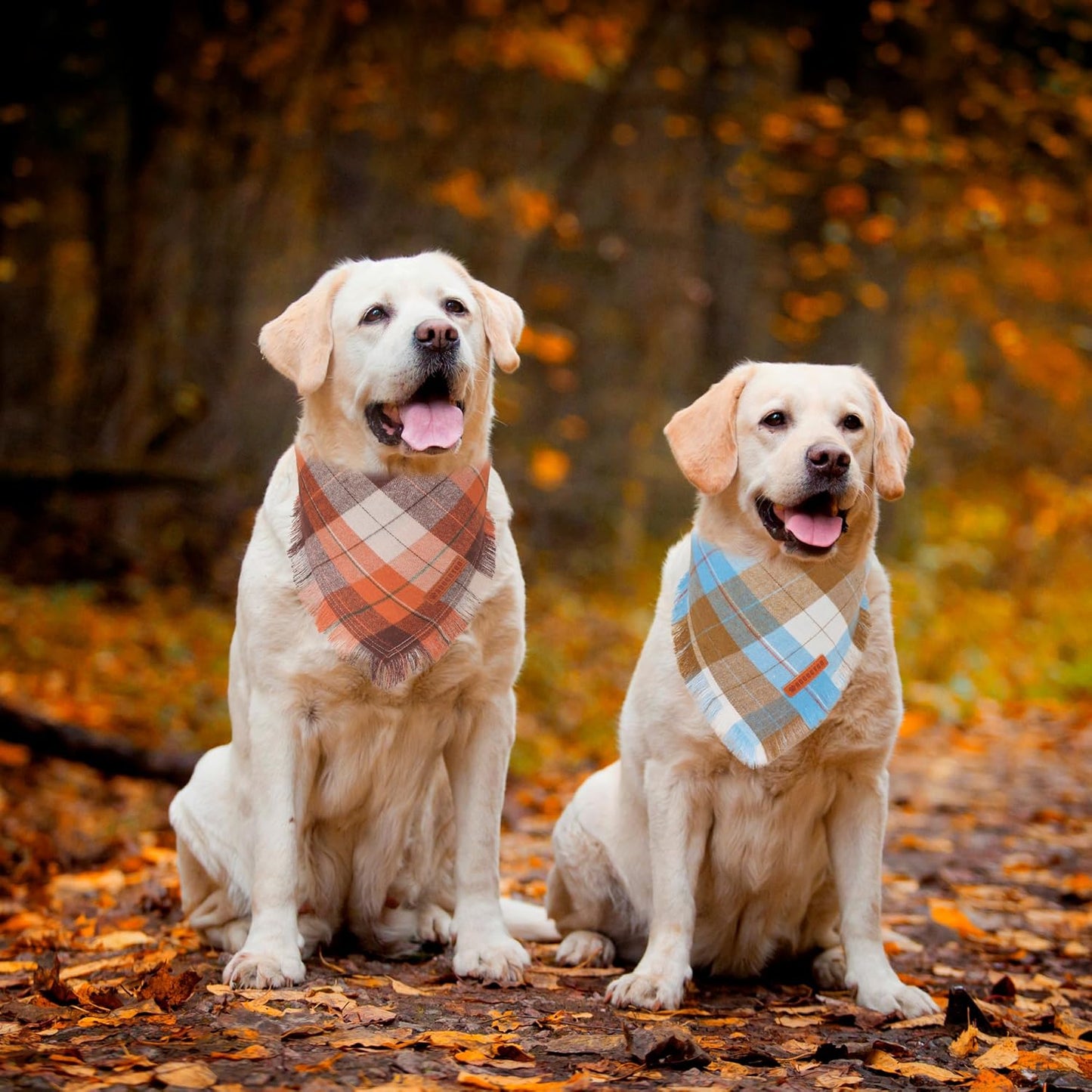 ADOGGYGO Fall Dog Bandanas with Tassels Edges, Stylish Plaid Pet Halloween Thanksgiving Scarf Bib, Orange Plaid Fall Bandanas for Large X-Large Dogs Pets (X-Large)