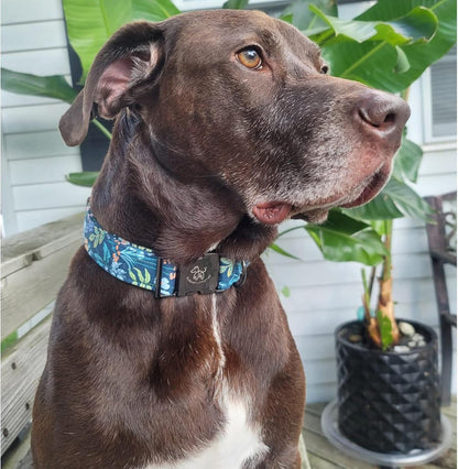 Elegant little tail Dog Collar, Floral Pet Collar Durable Darkblue Flower Dog Collars Male or Female Holiday Pet Gift Adjustable Dog Collar for X-Small Dogs