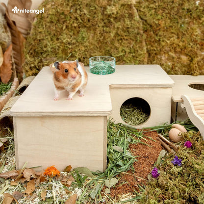 Niteangel Multi-Chamber Hamster House Maze: - Multi-Room Hideouts & Tunnel Exploring Toys for Hamster Gerbils Mice Lemmings (3-Room Large)