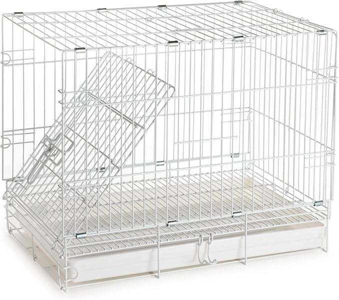 Easy Portable Foldable Travel Vet Bird Parrot Cage Carrier Handle with Stainless Feeder Bowls and Natural Wooden Stand Perch Prevent Beaks Out