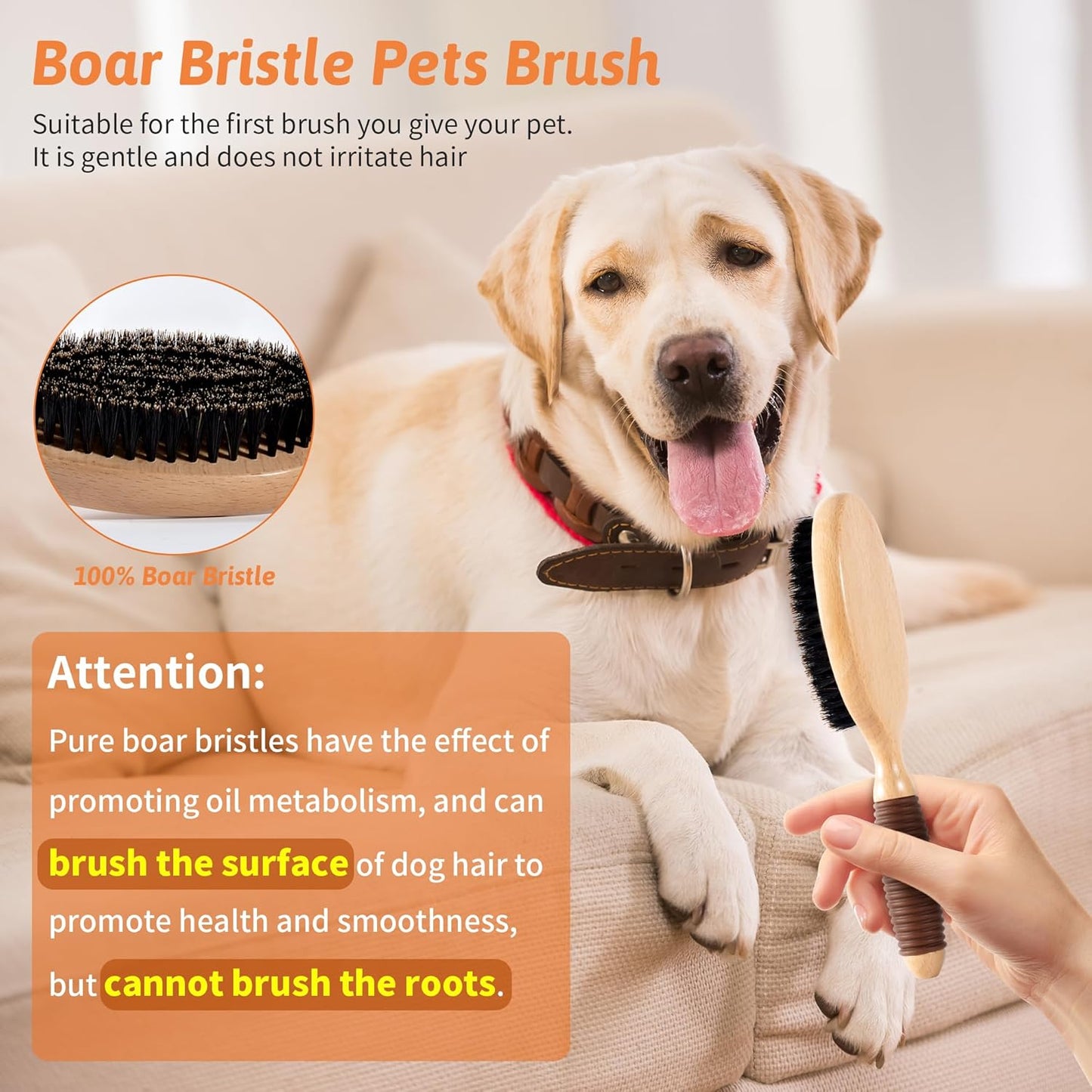 Boar Bristle Pet Brush for Short Haired Dogs and Cats, Dog Cast Hair Brush for Shedding with Beech Wood Handle and Non-Slip Rubber