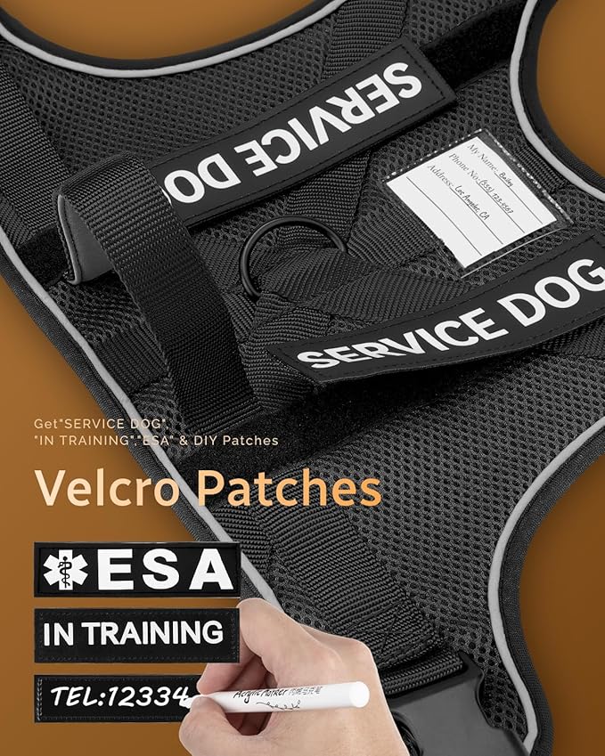 FAYOGOO Service Dog Vest for Large Dogs - Air Mesh Breathble Emotional Support Animal Vest with DIY Removable Patches - Dog Harness and Leash Set Adjustable Neck and Chest(Black,XXL)