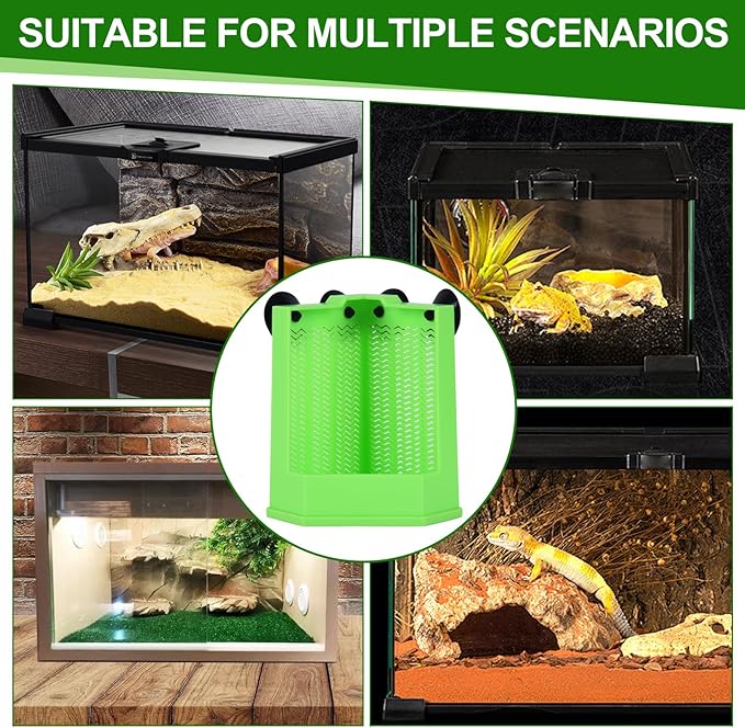 Bearded Dragon Feeder, Chameleon Feeder, Reptile Feeding Dish, Glass Mount Insect Feeding Box for Reptile, Bearded Dragon Food Bowl can Feeds Bearded Dragons and Comes with 4 Fixed Suction Cups