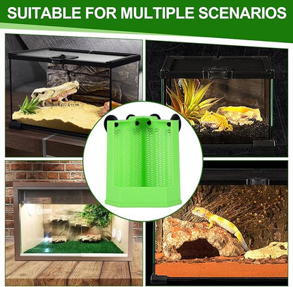 Bearded Dragon Feeder, Chameleon Feeder, Reptile Feeding Dish, Glass Mount Insect Feeding Box for Reptile, Bearded Dragon Food Bowl can Feeds Bearded Dragons and Comes with 4 Fixed Suction Cups