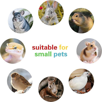 Bird Foraging Toys,Parrot Training Toys,Parrot Interactive Toys to Increase Feeding Time, Bird Enrichment Toys for Small and Medium Parrots,Cockatiel,Parakeet,Conures,Budgie,(Random color for gitfs)