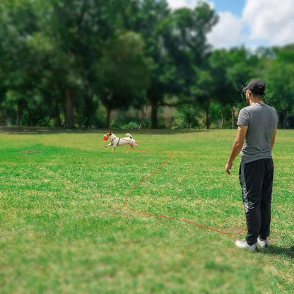 Rypet Reflective Cat Long Leash - 15 FT Escape Proof Walking Leads Yard Long Leash Durable Safe Personalized Extender Leashes Traning Play Outdoor for Kitten, Puppy, Rabbit and Small Animals