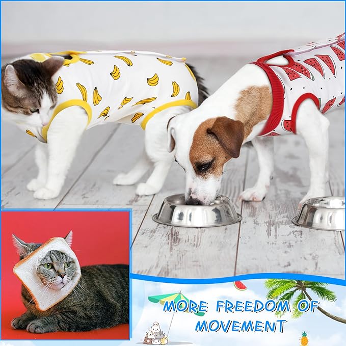 Kacctyen 6 Set Cat Recovery Suit After Surgery Female and Male Cat Kitten Surgery Suit E Collar Alternative Pajama Kitty Clothes for Spay Abdominal Skin Anti Licking(Fruit,Medium)