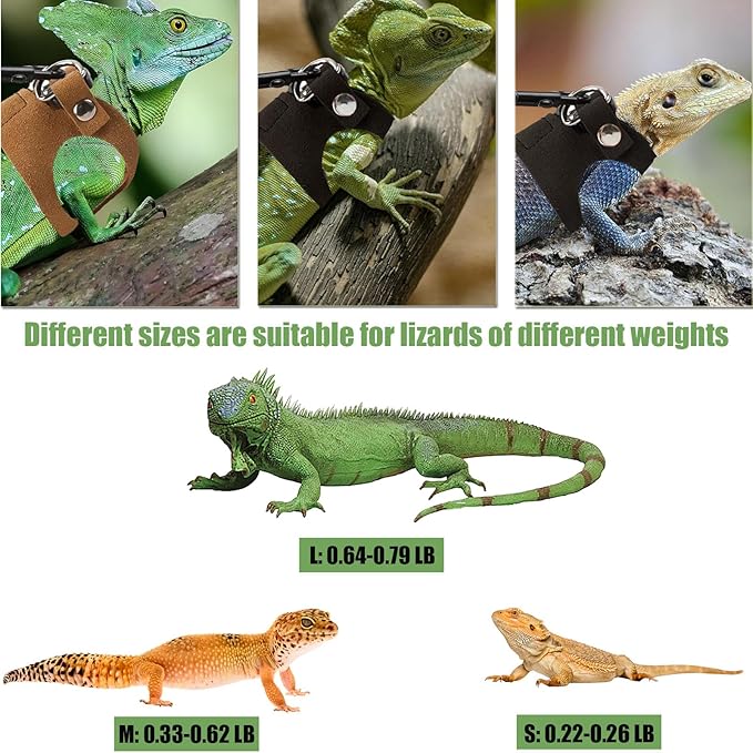 KABASI Bearded Dragon Harness Leash Set, 3 Size Adjustable Lizards Training Walking Leather Vest Escape-Proof Traction Rope for Squirrel and Other Outdoor Small Reptiles (Brown)