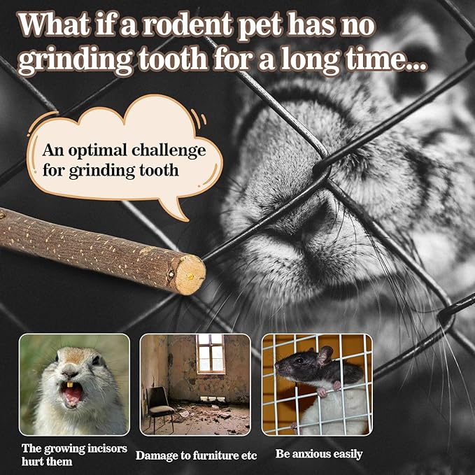 Sukh Natural Organic Apple Sticks - 250g Hamster Chew Stick Hams Rabbit Bunny Gerbil Guinea Pig Squirrel Chinchilla Small Animal Chew Sticks