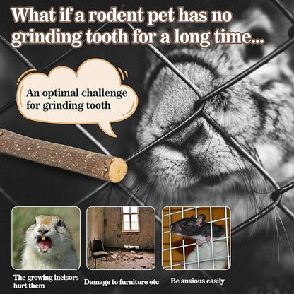 Sukh Natural Organic Apple Sticks - 250g Hamster Chew Stick Hams Rabbit Bunny Gerbil Guinea Pig Squirrel Chinchilla Small Animal Chew Sticks