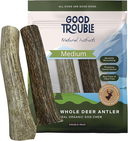 Good Trouble Premium Deer Antlers for Medium Dogs – 2 Whole Antlers Pets - North American Sourced for Dental Health & Anxiety Relief - Odor-Free & Non-Toxic Chew Bone for Dogs