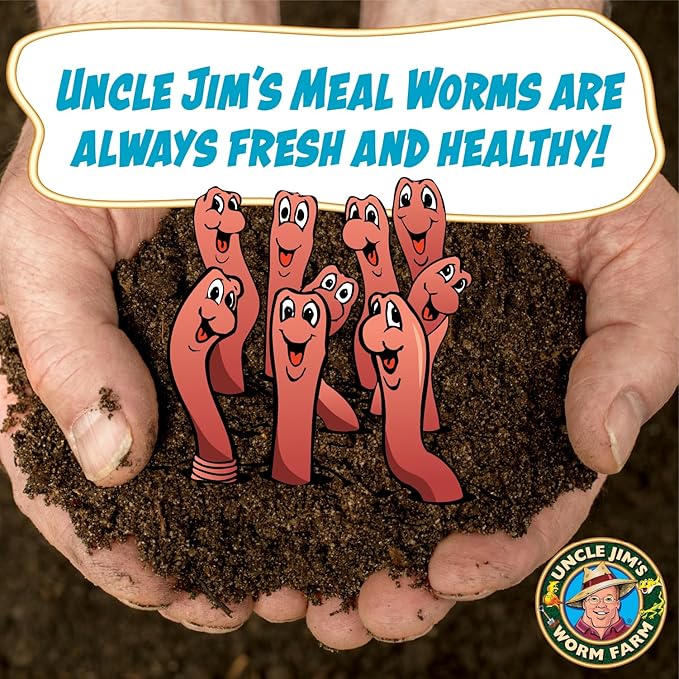 Uncle Jim's Worm Farm 1000 Count Mealworms for Reptiles and Chickens | Mealworms for Feeding Lizard, Gecko, Bearded Dragons, Chickens, Birds, and More | Suitable for Fishing Bait