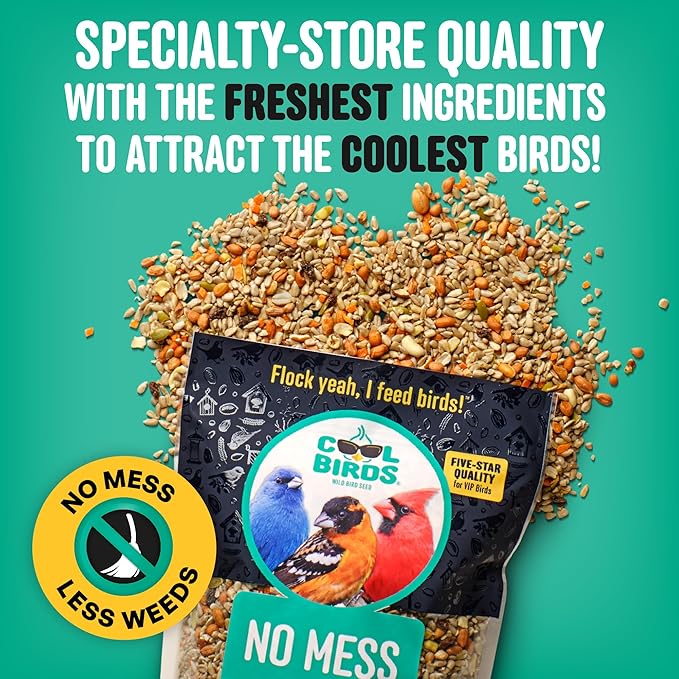 No Mess with Fruit Wild Bird Seed – 10 lb. 100% Edible Shell-Free Blend with Sunflower Hearts, Peanuts, Tree Nuts, Pumpkin Seed & Real Fruit – No Waste Bird Seed for Outside Feeders