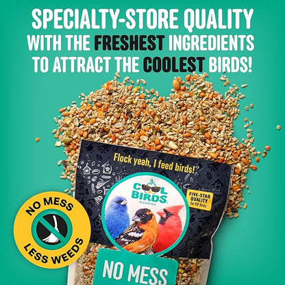 No Mess with Fruit Wild Bird Seed – 10 lb. 100% Edible Shell-Free Blend with Sunflower Hearts, Peanuts, Tree Nuts, Pumpkin Seed & Real Fruit – No Waste Bird Seed for Outside Feeders