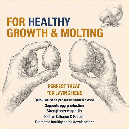 USA Grown Black Soldier Fly Larvae for Chickens - 100% Natural Dried Worms, Grubs & Mealworms with 85X More Protein Chicken Treats for Laying Hens - Birds Feed Supplement for Ducks & Reptiles