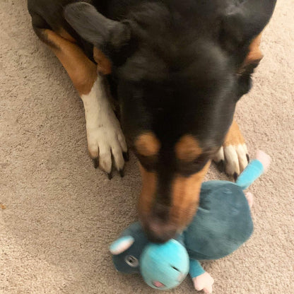 Jalousie Dog Squeaky Toys Value Set Non-Toxic Squeaky Balls Toss Fetch TPR Rubber Puppy Toys Spikey Dog Chew Toy for Small Medium Breed Pet Toys for Puppy (3 Pack 2-in-1 Plush)