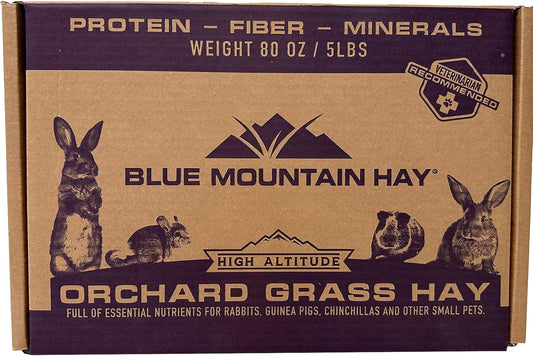 Blue Mountain Hay | Fresh Orchard Grass Hay (5 Pounds) | High Fiber, Soft & Leafy | High-Altitude Hay Pet Food for Rabbits, Guinea Pigs, Chinchillas, Hamsters, and Other Small Pets