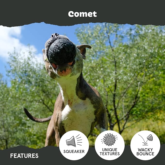 Barkbox Super Chewer Tough Dog Chew Toys for Aggressive Chewers, Treat Dispensing (Comet-Small)