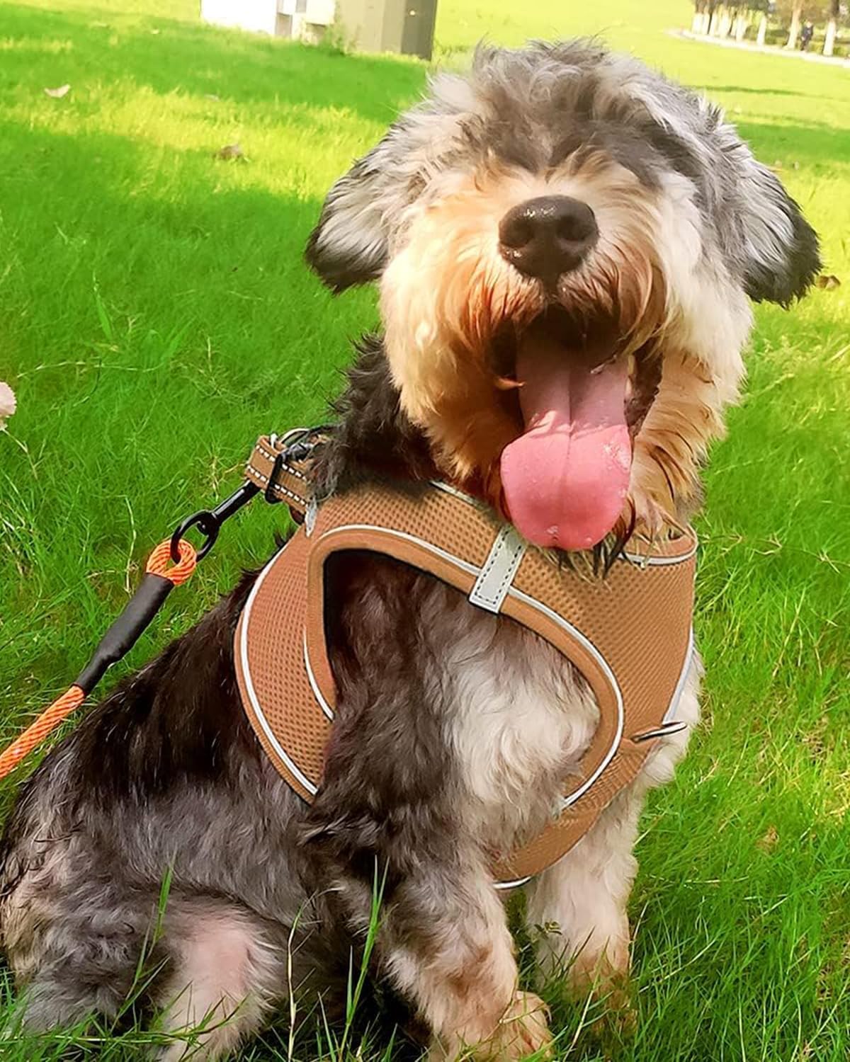 Joytale Small Dog Harness, Breathable Mesh Step-in Vest, Reflective Soft Padded Harnesses for Small and Medium Dogs, Brown, L