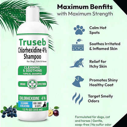 Truseb Topical Chlorhexidine 4% Shampoo for Dogs, Cats, and Horses with Plum/Blueberry Scent - 12 oz - Made in U.S.A (Chlorhexidine 4% Shampoo, 12 oz)