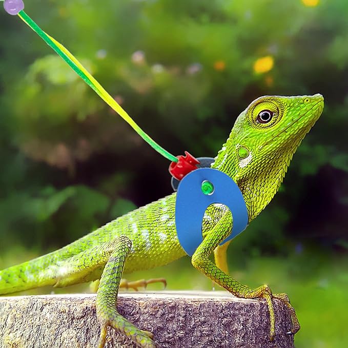 AIITLE Multi-Size Bearded Dragon Leash - Comfortable Adjustable Harness for Reptiles & Small Animals (Outdoor Walks, Pet Events), Blue