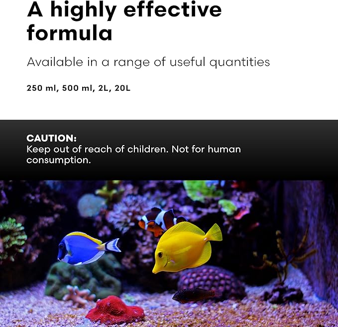 Brightwell Aquatics Strontion High-Strength Ionic Strontium Supplement for Reef Aquariums Supports Coral Skeletal Growth Aragonite Formation SPS LPS, 2L