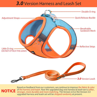 AIITLE Easy Walk Dog Harness and Leash Set - Pet Supply No Pull, Step in Adjustable Pet Harnesses with Padded Vest for Summer, No Choke Over, Easy to Put on Medium Dogs Orange L