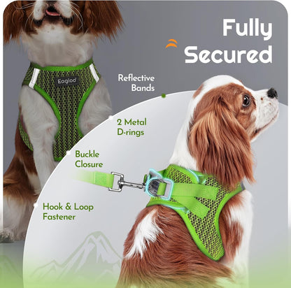 Eagloo Small Dog Harness and Leash Set, Step in Puppy Vest with Breathable Soft Mesh, Walking Reflective Pet Harness for Medium Small Dogs, Green, L