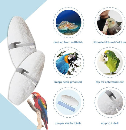 Jmxu's 3.5"-4" Cuttlebone for Birds Parakeets, Cuddle Bone with Metal Holder, Cuttlefish Bone for Sharp Beaks, Natural Birds Calcium for Parrots Cockatiels Tortoises, 4 Pcs
