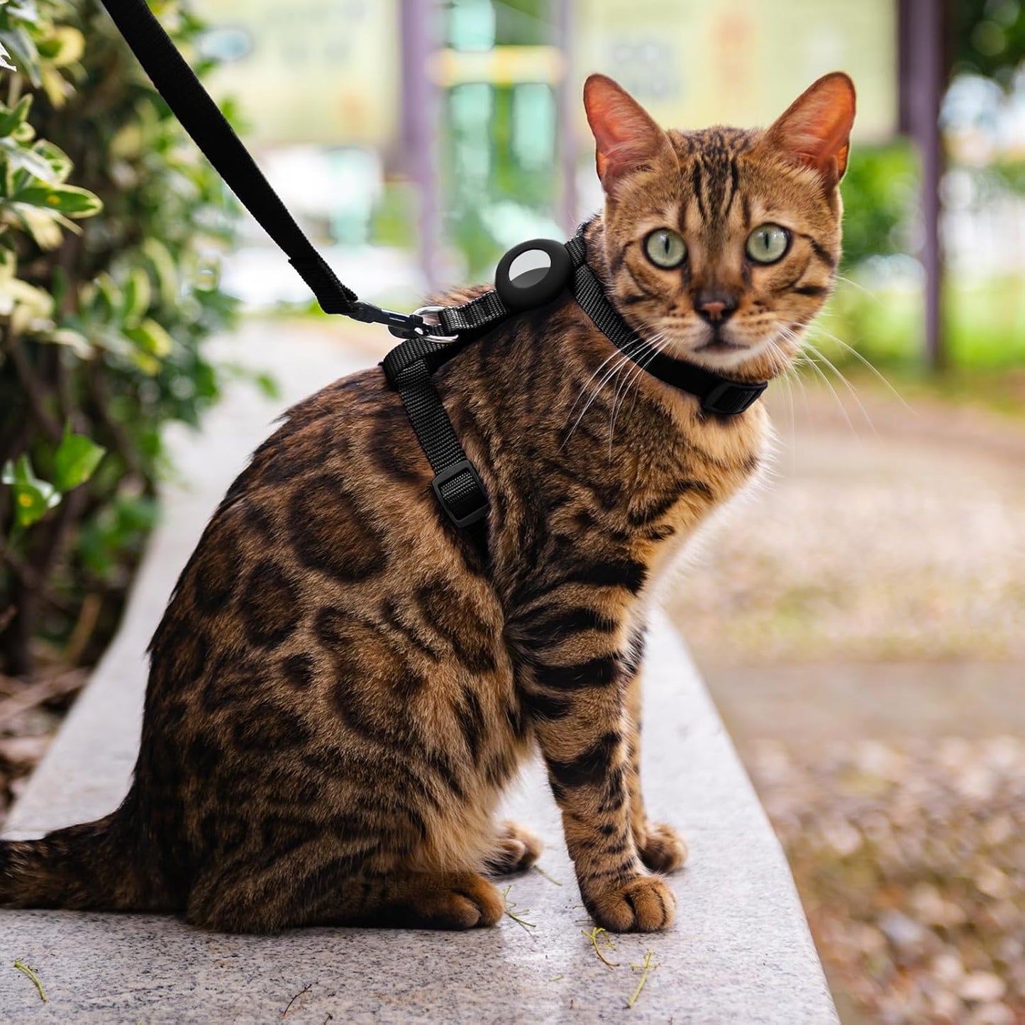 Cat Harness and Leash Set with Airtag Holder for Walking & Travelling, Escape Proof Cat Harness for Small Medium Large Kitten, Adjustable Lightweight Soft Cat Vests (Black)