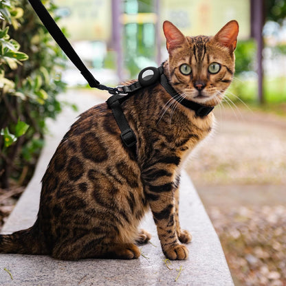 Cat Harness and Leash Set with Airtag Holder for Walking & Travelling, Escape Proof Cat Harness for Small Medium Large Kitten, Adjustable Lightweight Soft Cat Vests (Black)
