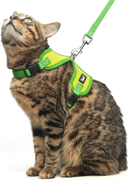 PUPTECK Cat Harness and Leash Set Escape Proof, Reflective Adjustable Soft Mesh Kitten Vest Harness for Walking Travel, Green, S