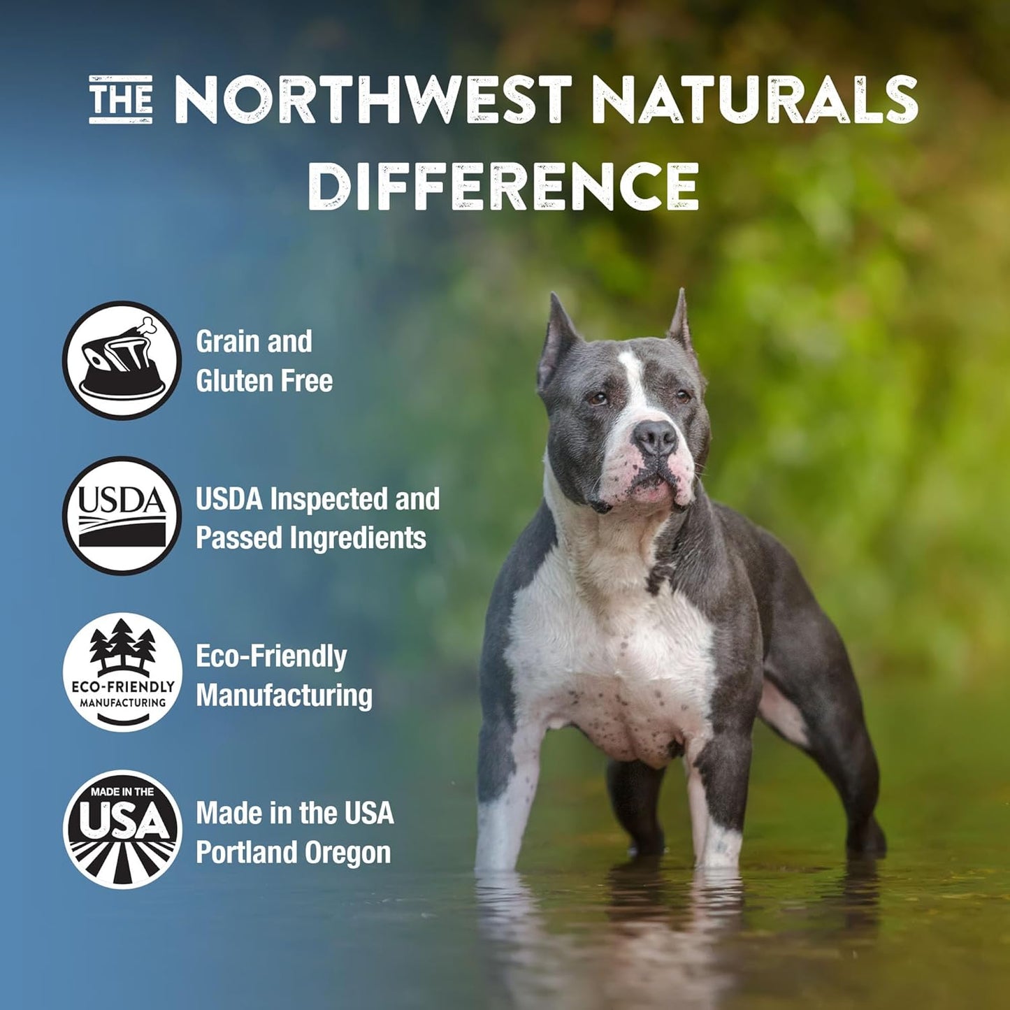 Northwest Naturals Freeze-Dried Whitefish & Salmon Dog Food - Bite-Sized Nuggets - Grain-Free, High-Protein, Human-Grade Ingredients, All Natural, Omega-3 for Skin & Coat - 12 Oz (Pack of 2)