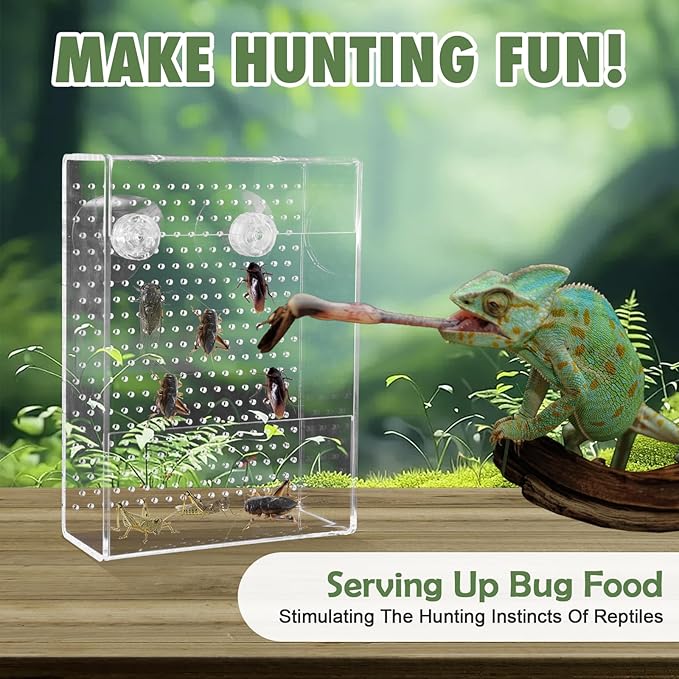 Chameleon Feeder Box with Suction Cups, Acrylic Feeding Bowl for Bearded Dragon, Wall-Mounted Insect Feeder for Lizard, Iguana, Gecko, Frog