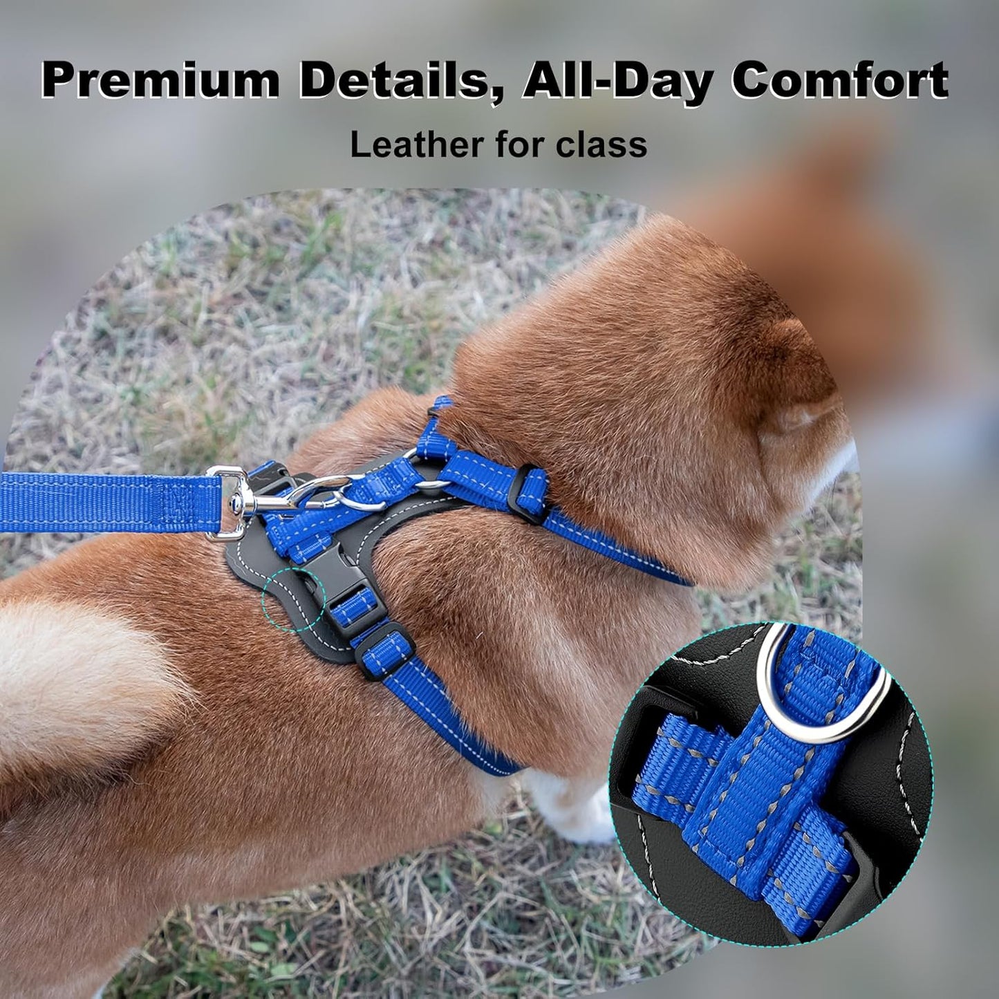 Plutus Pet Adjustable No Pull Dog Harness with Leather Accents, Heavy Duty Reflective Nylon Vest for Training, Hiking, Easy Walk Harness for Small, Medium, Large Dogs (Royal Blue, S)