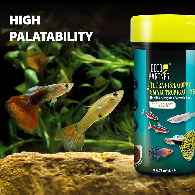 Purify Series for Tetra Fish Food, Small Tropical Sinking Pellets, Suitable for Betta, Guppy Fish, All Natural Ingredients, Balanced Composition of Fish Feed, 2.65 oz (Pack of 1)