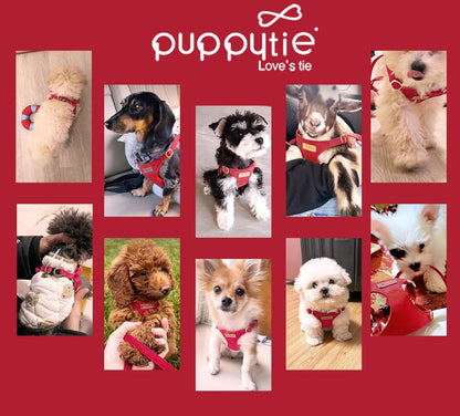 Puppytie No Pull XXS Puppy Harness with Multifunction Dog Leash,Soft Adjustable No Choke Escape Proof Pet Harness Vest,red-Camellia,XXS