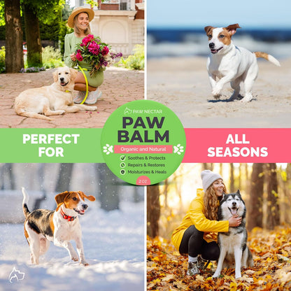 Natural Lick Safe Dog Paw Balm - 100% Organic Dog Paw Pad Balm Protector, Moisturizer & Soother for Dry Cracked Paws, Hot Pavement, Winter - Heals, Repairs & Restores - Coconut Oil, Shea Butter (2oz)