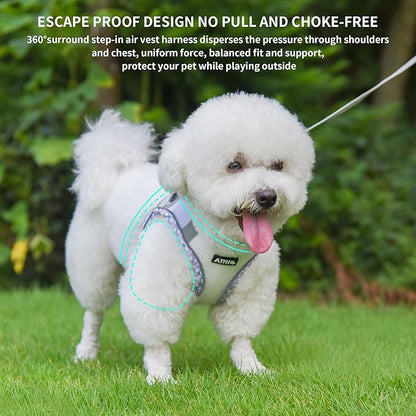 AIITLE Dog Harness and Leash Set - Ultra-Comfortable XXS-XL Vest with Strong Magic Tape & Glow-in-Dark Reflective Strips, Chafe-Free for Teddy, Schnauzer (Purple-White, M)