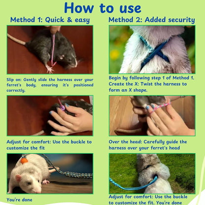 Ferret Leash Harness Adjustable Squirrel Sets, Leashes and Harnesses for Ferrets Guinea Pig Chinchilla Rat Dragon Bearded Small Animal, Pet Squirrel Ferret Accessories (Blue)