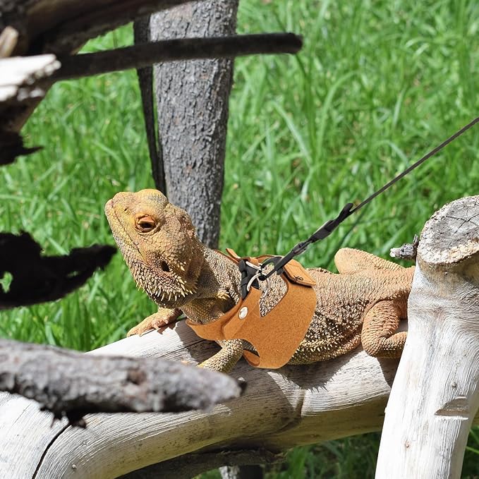 3 Pcs Bearded Dragon Harness and Leash Set Adjustable Leash Soft Leather Bearded Dragon Harness Lizard Accessory for Squirrels and Other Small Reptiles(Brown, 3 Sizes)