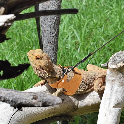 3 Pcs Bearded Dragon Harness and Leash Set Adjustable Leash Soft Leather Bearded Dragon Harness Lizard Accessory for Squirrels and Other Small Reptiles(Brown, 3 Sizes)