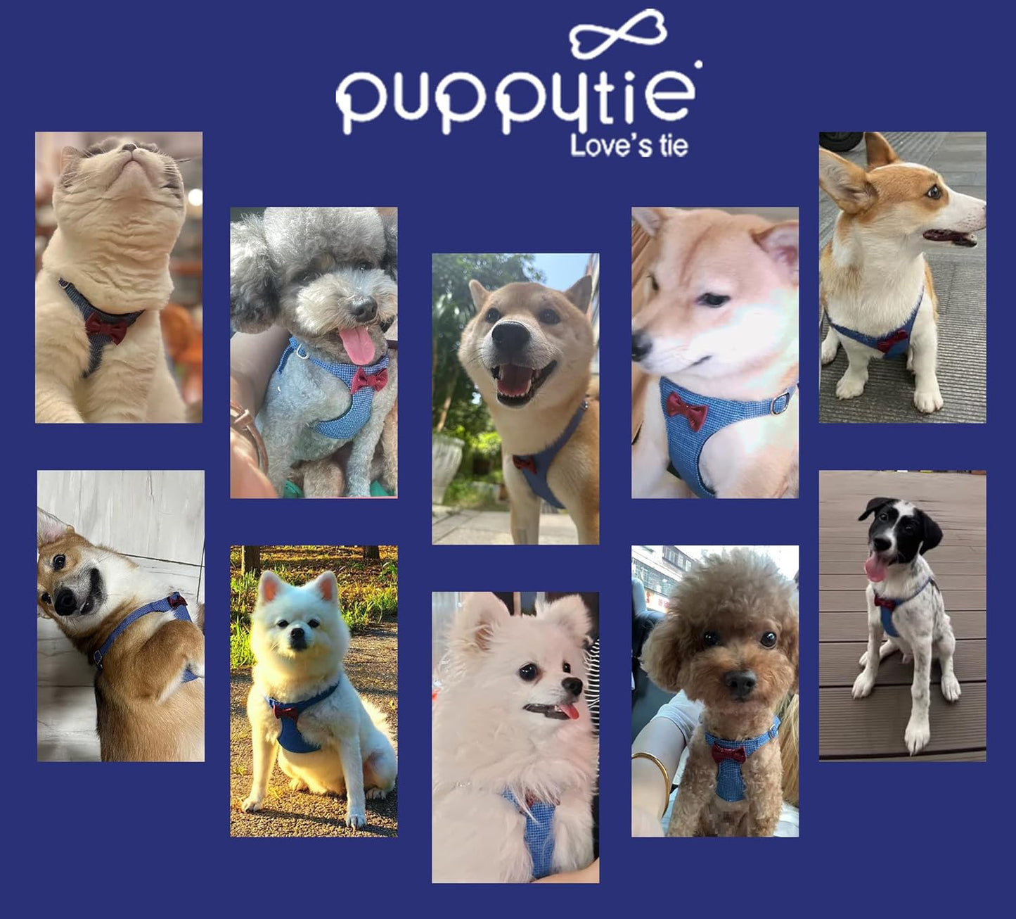 Puppytie No Pull Small Dog Harness with Multifunction Dog Leash,Lightweight Soft Adjustable No Choke Escape Proof Pet Harness Vest Pet Harness Vest,Plaid Blue,S